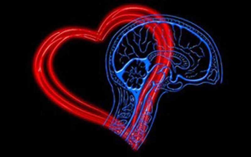 How Does Mental Health Affect the Heart? Heart Health and Mental Health